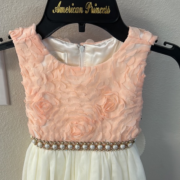 American Princess Dress - Picture 2 of 4